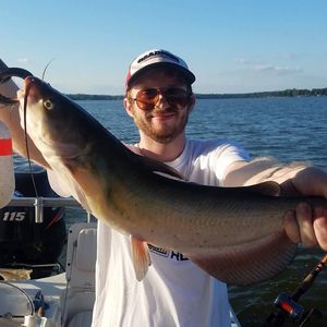 Meet your Posher, Alex